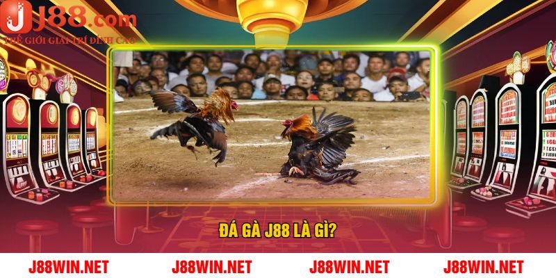 Đá Gà J88 Là Gì?