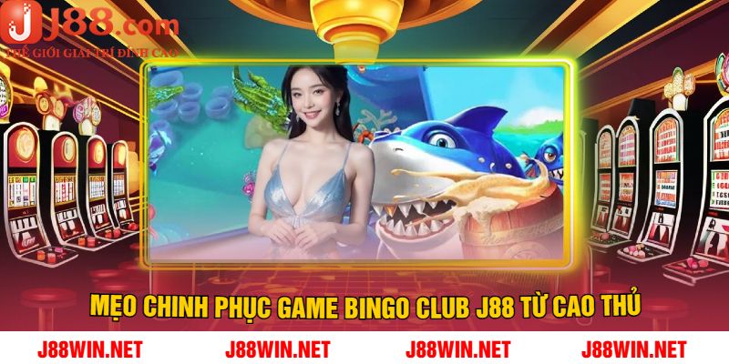 Mẹo chinh phục game Bingo Club J88 từ cao thủ